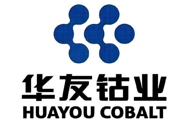 “华友钴业”翻倍还是腰斩？