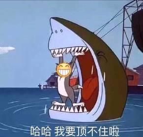 苹果用上了安卓AI,马斯克为啥急得跳脚? 苹果用上了安卓AI,马斯克为啥急得跳脚?