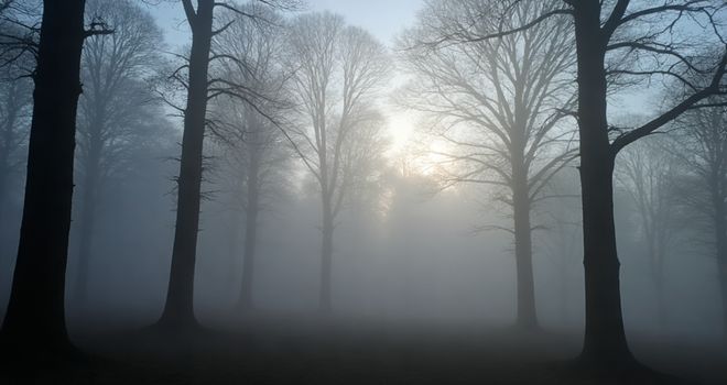 惠康科技独立性存疑