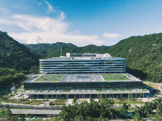 华大基因2025年预计营收36-39亿元，多元举措推进主业稳健发展